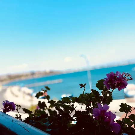 Family Saint Nikola And Free Parking